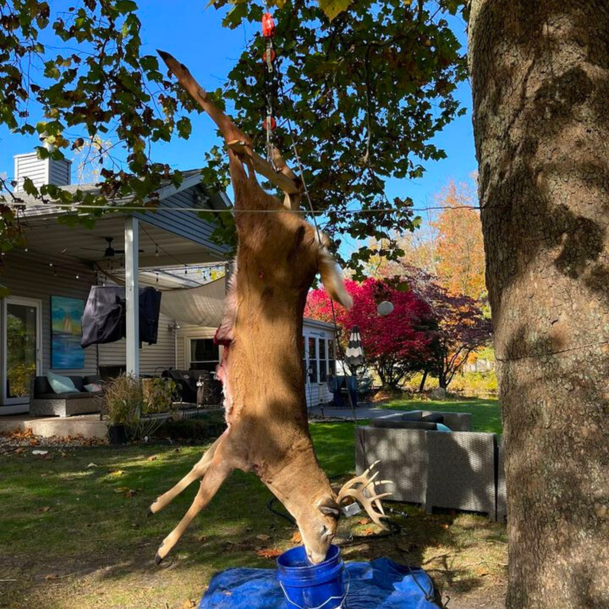deer hoist tie boss