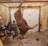 Easy to use deer hoist