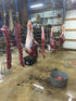 quarters of meat hanging